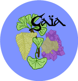 Découvrez les trésors de Gaia, des créations avec des pierres naturelles pour une connexion avec la nature à portée de main.